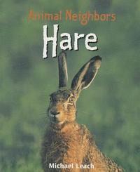 bokomslag Hare