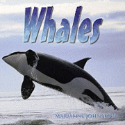 Whales 1