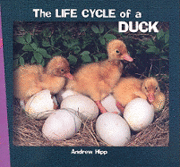 bokomslag The Life Cycle of a Duck