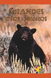 bokomslag Grandes Osos Negros