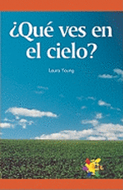 Laura Young - Que Ves En El Cielo, Häftad