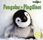 bokomslag Penguins / Pinguinos