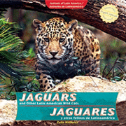 bokomslag Jaguars and Other Latin American Wild Cats / Jaguares Y Otros Felinos de Latinoamérica