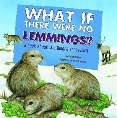 Suzanne Slade - What If There Were No Lemmings?: A Book about the Tundra Ecosystem, Inbunden