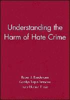 bokomslag Understanding the Harm of Hate Crime