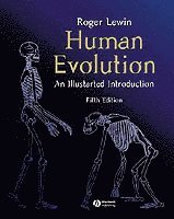 bokomslag Human Evolution