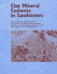 bokomslag Clay Mineral Cements in Sandstones