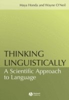 bokomslag Thinking Linguistically
