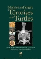 bokomslag Medicine and Surgery of Tortoises and Turtles