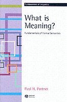 Paul H. Portner - What is Meaning?, Häftad