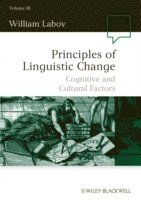 bokomslag Principles of Linguistic Change, Volume 3