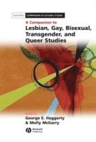 Haggerty, McGarry, George E. Haggerty, Molly McGarry, George E Haggerty, Molly Mcgarry - Companion to Lesbian, Gay, Bisexual, Transgender, and Queer Studies, Inbunden