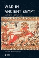 bokomslag War in Ancient Egypt