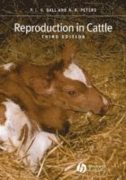 Reproduction in Cattle 1