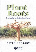 Plant Roots 1