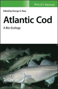 bokomslag Atlantic Cod