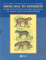 Sean B. Carroll, Jennifer K. Grenier, Scott D. Weatherbee, Sean B. (University of Wisconsin) Carroll, Jennifer K. (MIRUS BIO CORPORATION) Grenier, Scott D. (Sloan Kettering Institute) Weatherbee, Sean B Carroll, Jennifer K Grenier, Scott D Weatherbee - From DNA to Diversity, Häftad