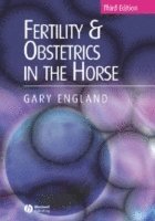 bokomslag Fertility and Obstetrics in the Horse