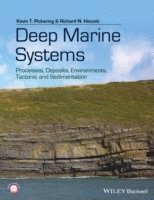 bokomslag Deep Marine Systems