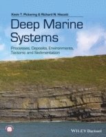 Deep Marine Systems 1