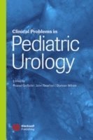 Prasad P. Godbole, John P. Gearhart, Duncan T. Wilcox - Clinical Problems in Pediatric Urology, Inbunden
