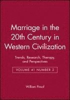 William Pinsof, William (Northwestern University) Pinsof - Marriage in the 20th Century in Western Civilization, Häftad