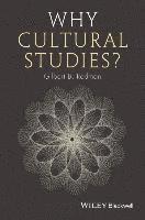 bokomslag Why Cultural Studies?