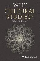bokomslag Why Cultural Studies?