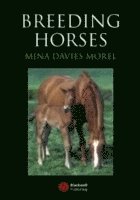 Breeding Horses 1