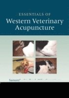 bokomslag Essentials of Western Veterinary Acupuncture