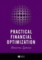 bokomslag Practical Financial Optimization