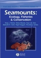 bokomslag Seamounts