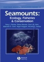 Seamounts 1