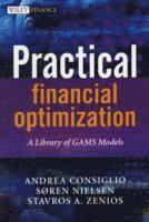 bokomslag Practical Financial Optimization