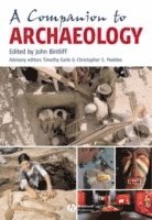 bokomslag A Companion to Archaeology