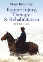 bokomslag Equine Injury, Therapy and Rehabilitation