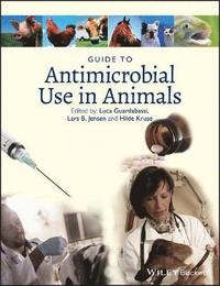 bokomslag Guide to Antimicrobial Use in Animals