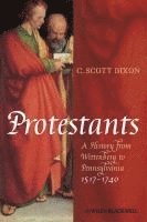 bokomslag Protestants