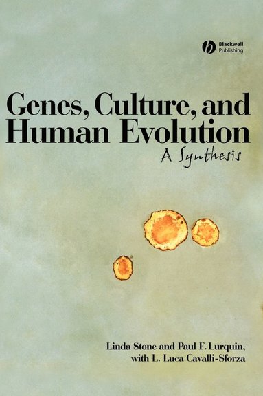 Linda Stone, Paul F. Lurquin, L. Luca Cavalli-Sforza - Genes, Culture, and Human Evolution, Inbunden