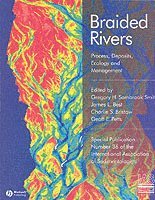 Braided Rivers 1