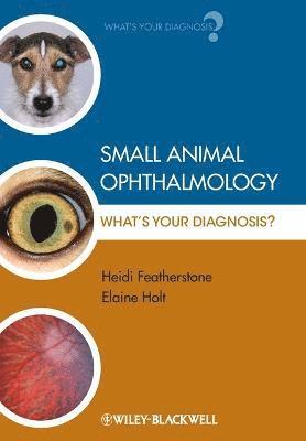 bokomslag Small Animal Ophthalmology