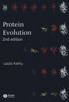 bokomslag Protein Evolution