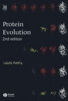 Laszlo Patthy, Laszlo (Hungarian Academy of Sciences) Patthy - Protein Evolution, Häftad