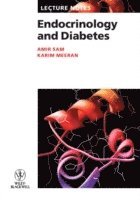 Endocrinology and Diabetes 1