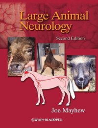 bokomslag Large Animal Neurology