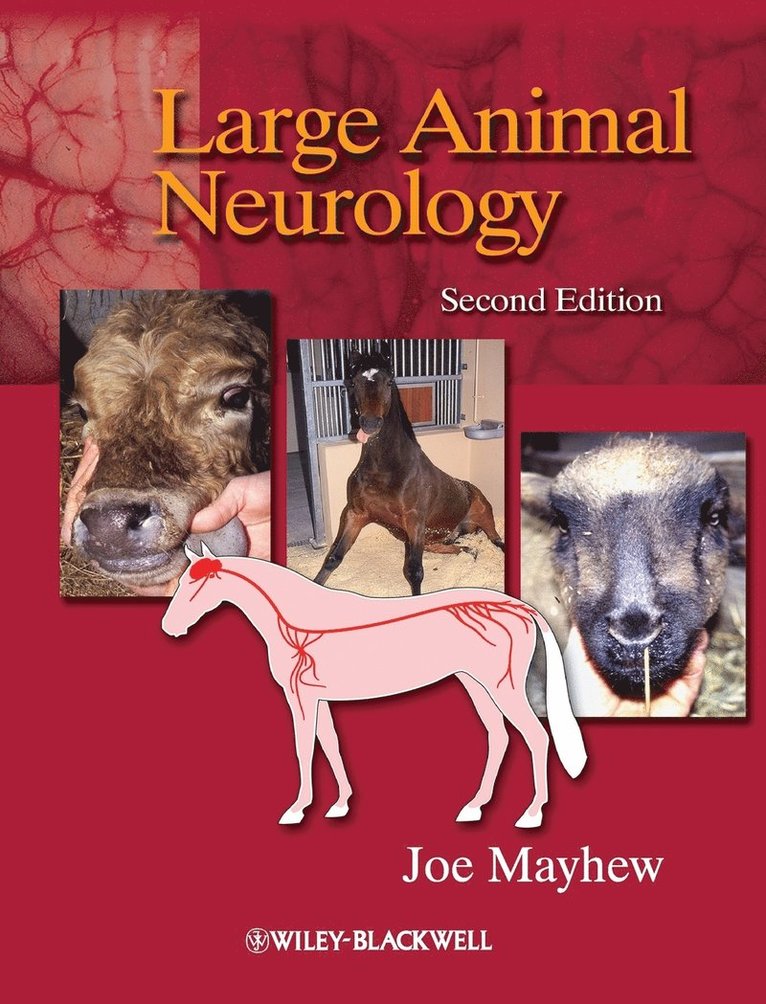 Large Animal Neurology 1