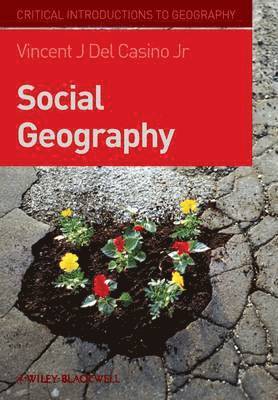 bokomslag Social Geography