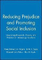 bokomslag Reducing Prejudice and Promoting Social Inclusion