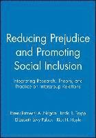 Reducing Prejudice and Promoting Social Inclusion 1