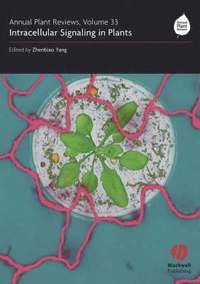 bokomslag Annual Plant Reviews, Intracellular Signaling in Plants